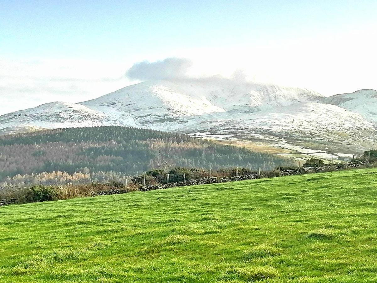 Tollymore Luxury Log Cabins Newry Kültér fotó